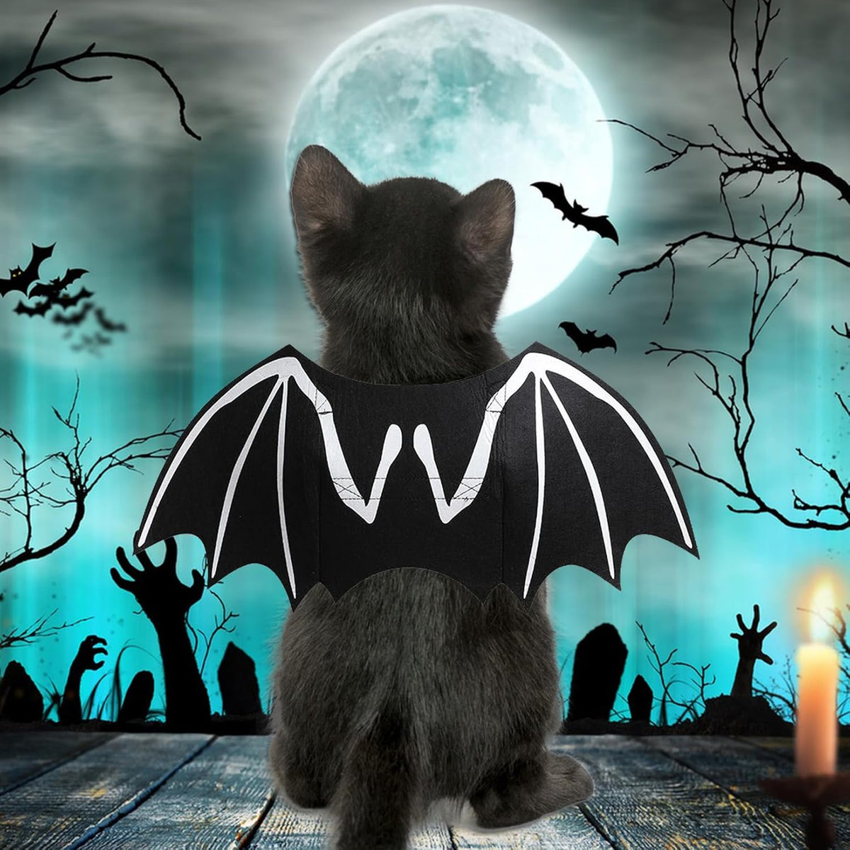 Glow-in-the-Dark Bat Wings Dog Costume – photo 6