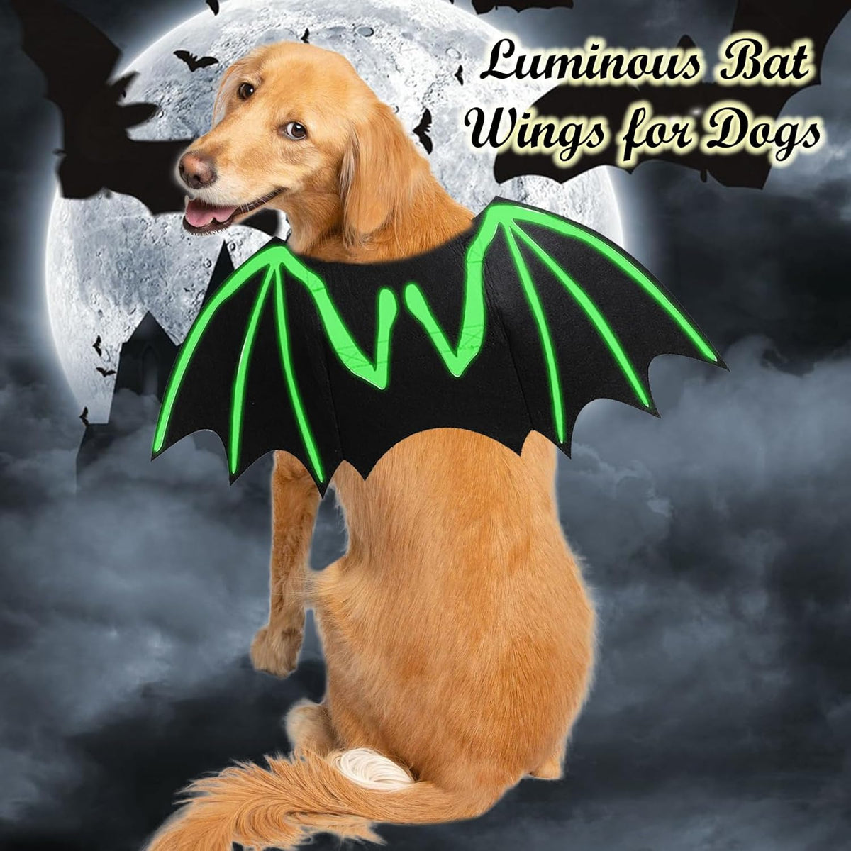 Glow-in-the-Dark Bat Wings Dog Costume – photo 5