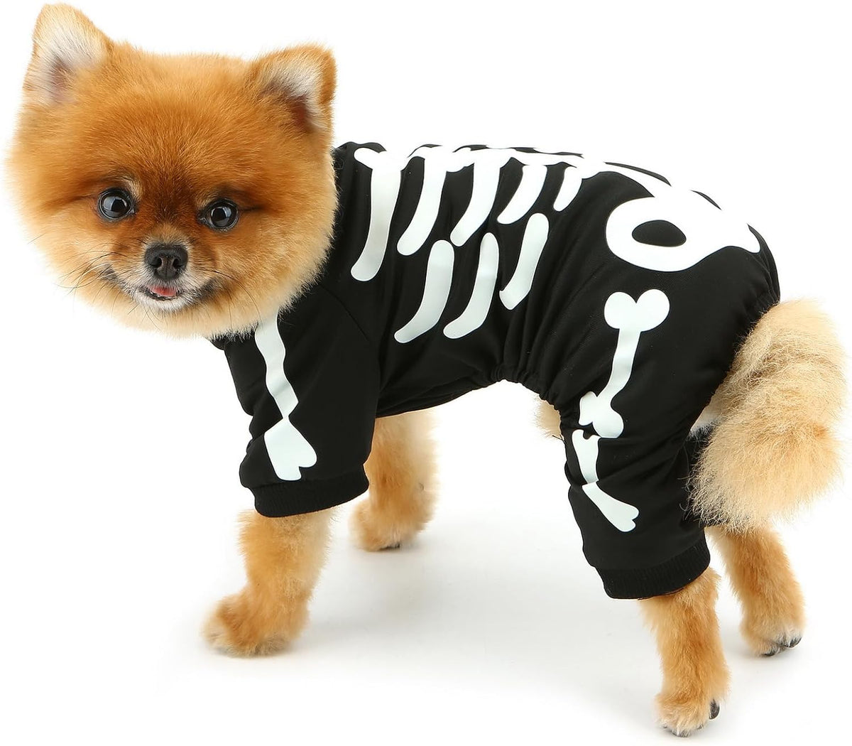 Glow-in-the-Dark Skeleton Dog Costume – photo 5