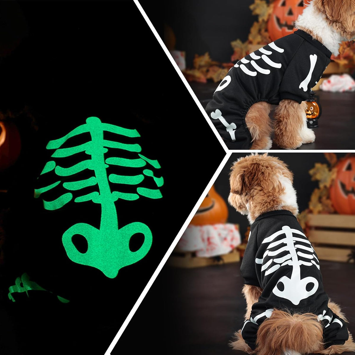Glow-in-the-Dark Skeleton Dog Costume – photo 4