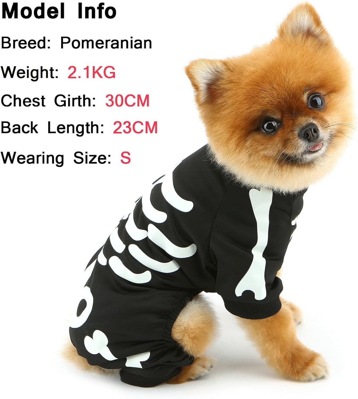 Glow-in-the-Dark Skeleton Dog Costume – photo 6